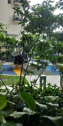 Highline Residences (D3), Condominium #458944671